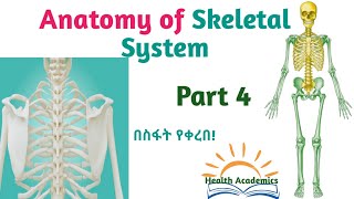 Anatomy of Skeletal System Supportive Video Lecture with Amharic Speech Part 4 [upl. by Lehplar]