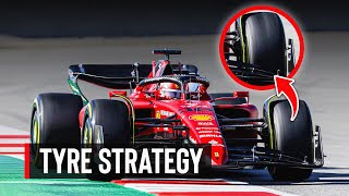 F1 Basics Understanding Tire Strategy During Races [upl. by Queen]