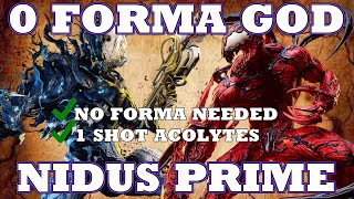 God Nidus Prime  Budget Build [upl. by Eneres580]