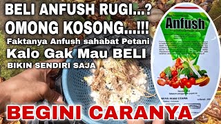 BENARKAH BELI ANFUSH RUGI❓️OMONG KOSONG‼️KALO GAK MAU BELI BIKIN TRICHO SENDIRI SAJA BEGINI CARANYA [upl. by Eenafets272]