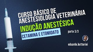 Aula 19  Indução anestésica  parte 33 Curso básico em anestesia veterinária indução [upl. by Eentihw]