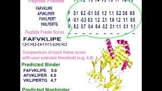 Bioinformatics practical introduction [upl. by Llehsyar]