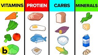 How The Six Basic Nutrients Affect Your Body [upl. by Sato]