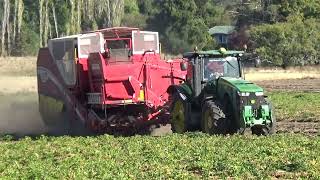 Troy Wright Holdings Potato Harvesting 2024 Part 1 [upl. by Siulesoj]