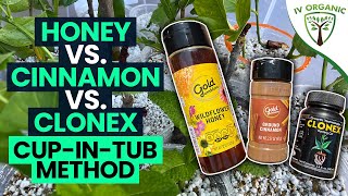 How To Root Cuttings  Honey vs Cinnamon vs CloneX [upl. by Meeka]