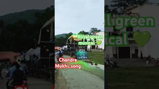 Chandra mukhi song by the bass king Royal green musical kendrapara 💚 [upl. by Homovec]