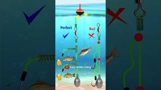 DIY RIG FISHING 2 HOOK FREE TANGLE Fishing Knot Skills Fishing Knot Using Tackle fishing tutorial [upl. by Eeldarb167]