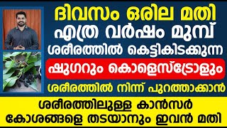 ദിവസം ഒരില മതി ഷുഗറായാലും കൊളെസ്ട്രോൾ ആയാലും ശരീരത്തിൽ നിന്ന് പുറത്താക്കാൻ  cholestrol malayalam [upl. by Honebein]