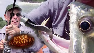 Forgotten Catches Of Season 1  COMPILATION  River Monsters [upl. by Graff]