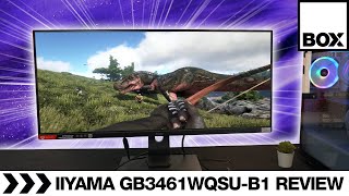 iiyama GMaster GB3461WQSUB1 Red Eagle 144Hz 34quot Gaming Monitor Review [upl. by Essenaj]