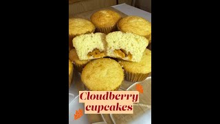 Cloudberry Cupcakes in Alaska [upl. by Maryellen]