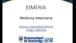 Eimeria  Parasitologia Veterinaria [upl. by Airtemed]