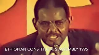 Ethiopian Constituent Assembly 1995 Debate on the national flag [upl. by Scherle204]