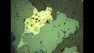 Sphalerite  ore microscope  Geology [upl. by Ahsiken469]