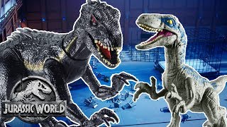 Dinosaur Battles Blue VS Indoraptor  Jurassic World  Mattel Action [upl. by Anamuj]