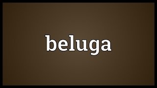 Beluga Meaning [upl. by Assiluy91]