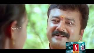 Mayilatam Malayalam Movie  Jayaram Malayalam Comedy Movie Mayilatam  Jayaram Malayalam Full Movie [upl. by Nedroj860]