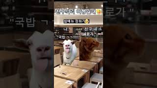 친구끼리 여행갈때 슈뢰딩거의고양이 고양이귀엽 [upl. by Alliuqa]