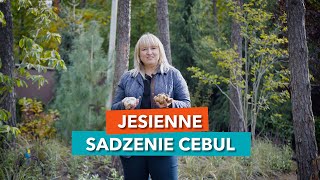 Jesienne sadzenie cebul kwiatowych [upl. by Descombes]