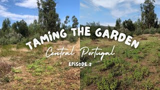 Taming the Garden  Central Portugal  Episode 3 [upl. by Uoliram]