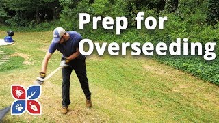 Do My Own Lawn Care  Prep for Overseeding  Ep28 [upl. by Assedo]