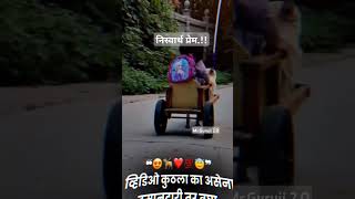 कुठलाही स्वार्थ नसताना केलेले प्रेमNew WhatsApp status videoMotivation [upl. by Einaoj912]