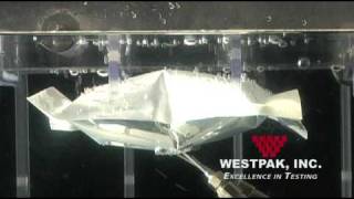 Gross Leak Detection Bubble Test Medical Device Packaging Test at Westpak Inc ASTM F2096 [upl. by Teddi]