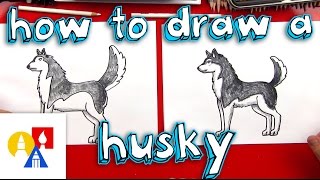 How To Draw A Husky [upl. by Meraree727]