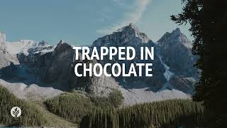 Trapped in Chocolate  Audio Reading  Our Daily Bread Devotional  July 7 2024 [upl. by Yessac]