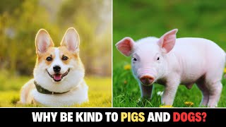 WHY SHOW KINDNESS TO PIGS AND DOGS IN ISLAM LECTURE BY MUFTI MENK [upl. by Adella]