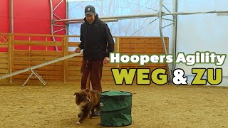 Hoopers Agility Basistraining  Weg und Zu [upl. by Ahar]