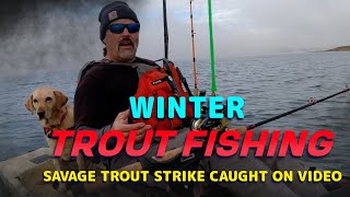 Master The Art Of Winter Trout Fishing With These Expert Tips fishing trout kayakfishing [upl. by Atteynek964]