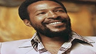 Marvin Gaye  Lets Get It On Tradução [upl. by Adnowal]