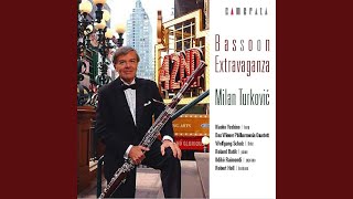 Sonata for Bassoon and Basso Continuo in F Minor TWV 41f1 III Andante [upl. by Alikahs]