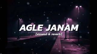 Agle Janam Slowed amp Reverb Rishi Roy  Hindi slowed and reverb song hindi song [upl. by Yrogiarc432]