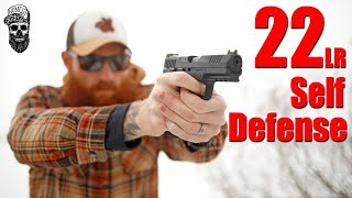 22 LR Rifles amp Pistols For Self Defense [upl. by Lukin201]