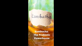 Kombucha The Probiotic Powerhouse shorts [upl. by Araas598]