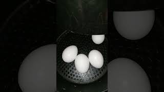 How to make Hard Boiled Egg in Air Fryer  Air Fryer Egg [upl. by Annaear]