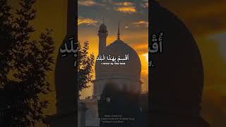 ما تيسر من سورة البلد سورةالبلدالقارئأحمدفؤاد quranrecitation qurankareem explore [upl. by Htebazile602]