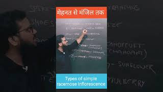 Trick to learn Types of Racemose Inflorescence   shorts  neet 2025 [upl. by Padraic]