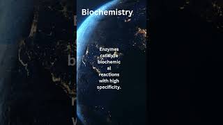 Unlocking the Power of Enzymes Exploring Biochemical Reactions and Metabolic Pathways [upl. by Ecilahs277]