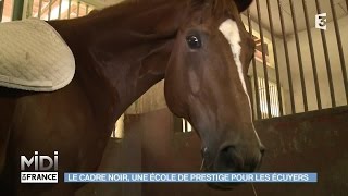 ANIMAUX  Le Cadre Noir une école de prestige pour les écuyers [upl. by Rhodes]