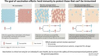 Lecture 8b Vaccine Design [upl. by Epillihp]