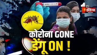 Corona GONE Dengue ON 25 दिन में 2500 डेंगू मरीज  Jawab Toh Dena Padega [upl. by Merle94]