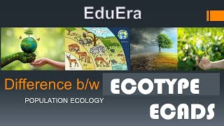 Ecotypes and Ecads  Population ecology  PPT in Hindi [upl. by Barrie]