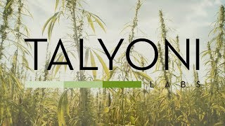 Talyoni Labs  Cannabis Sativa Collection [upl. by Fadil]