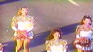 1995 Tournament of Roses Parade  All Networks  DIGITALLY REMASTERED  Better Quality [upl. by Ecal253]