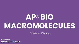 AP Bio Macromolecules [upl. by Eenwahs]