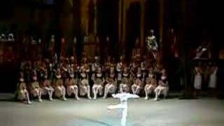 Sarafanov Leonid  La Bayadere [upl. by Enahpad]