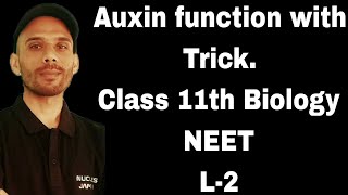 Plant hormones  function of Auxin  class 11th Biology  NEET [upl. by Nahtaneoj]